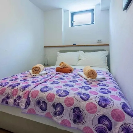 In 41696 سيلتسي